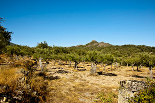Imagen de la comarca de Sierra de Gata